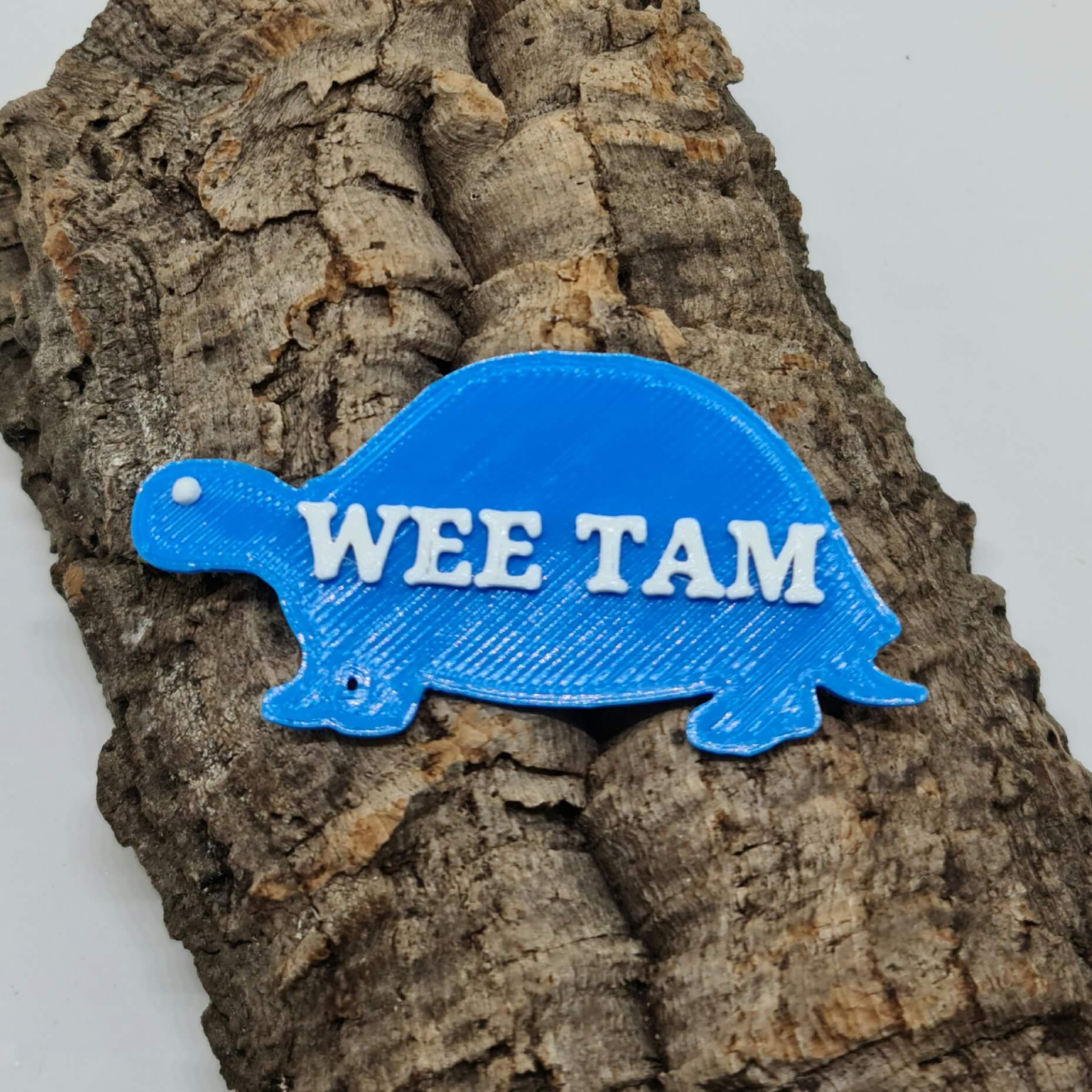 personalised-tortoise-name-tag-3d-name-tags